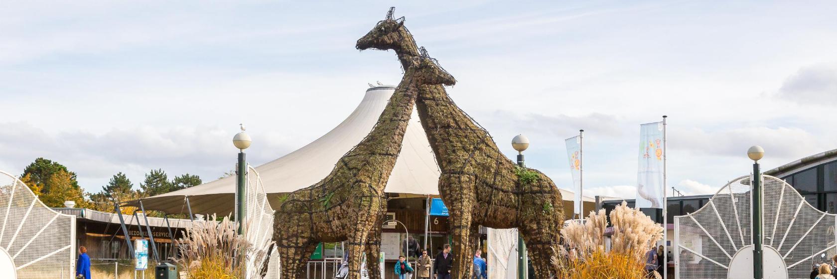 Jardim Zoológico de Roterdão